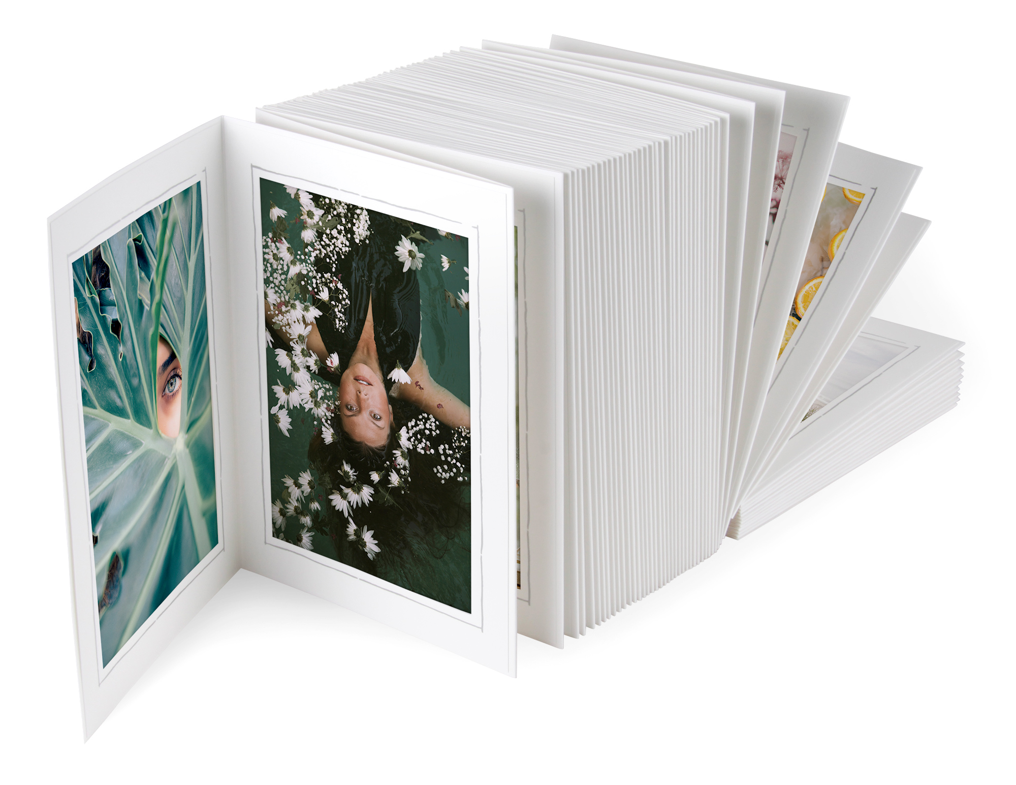Endlosleporello Leinen Weiß / Leinen Weiß "Neue Linie Silber" für Bilder im Format 15 x 20 cm Endlosleporello Leinen Weiß / Leinen Weiß "Neue Linie Silber" für Bilder im Format 15 x 20 cm